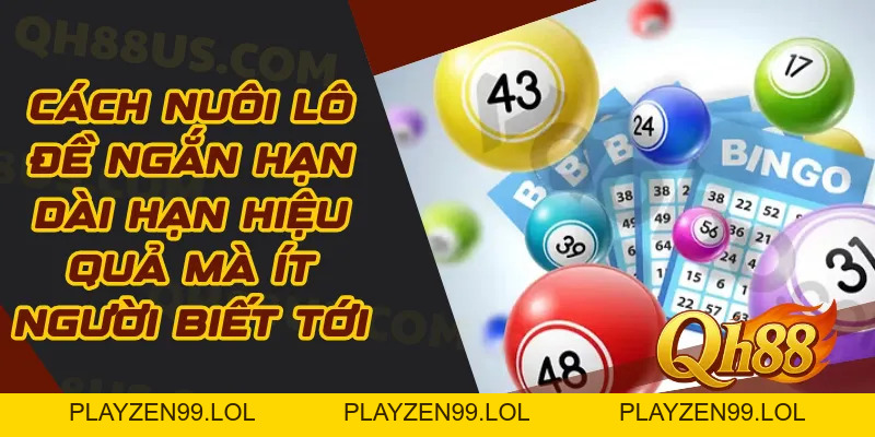 Cách nuôi lô đề ngắn hạn dài hạn hiệu quả mà ít người biết