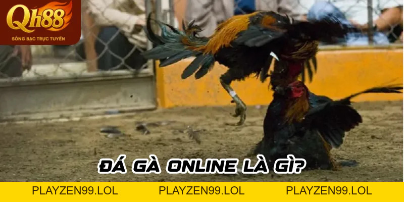 Đá Gà Online - Trải Nghiệm Giải Trí Đỉnh Cao Cho Tín Đồ Đam Mê Gà Chọi - QH88