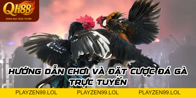 Đá Gà Online - Trải Nghiệm Giải Trí Đỉnh Cao Cho Tín Đồ Đam Mê Gà Chọi - QH88