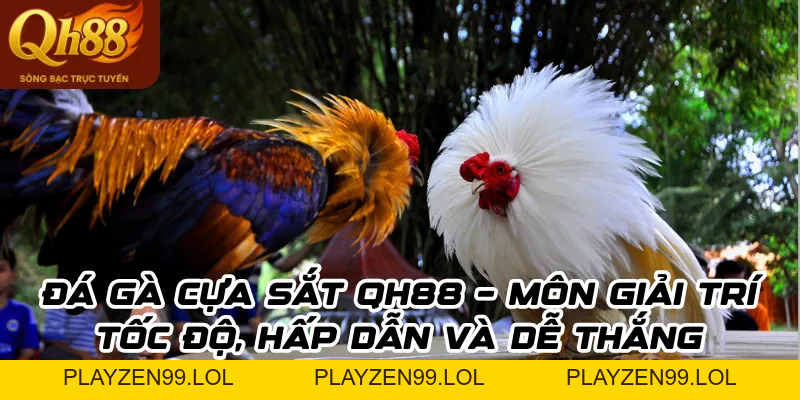 Đá gà cựa sắt Qh88: Mẹo bắt kèo chuẩn xác cho người mới - QH88